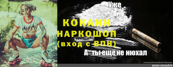 прущая мука Аша