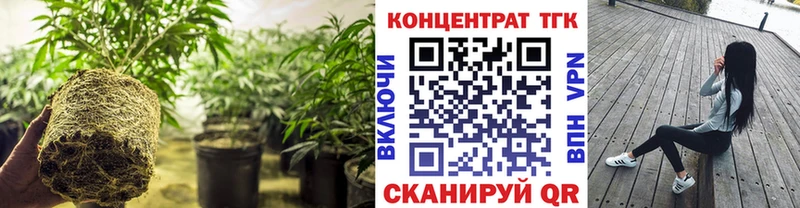 продажа наркотиков Бабушкин Дистиллят ТГК жижа