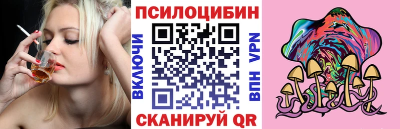 Псилоцибиновые грибы мицелий  даркнет сайт  Бабушкин 